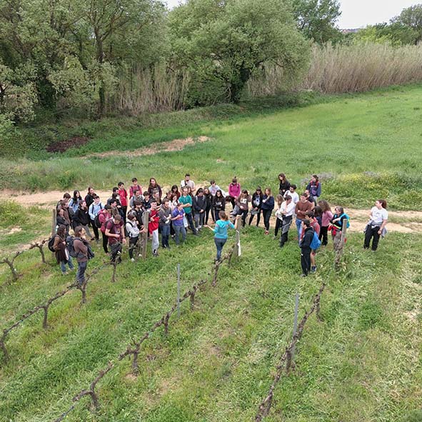 Visita d’estudiants a Can Font