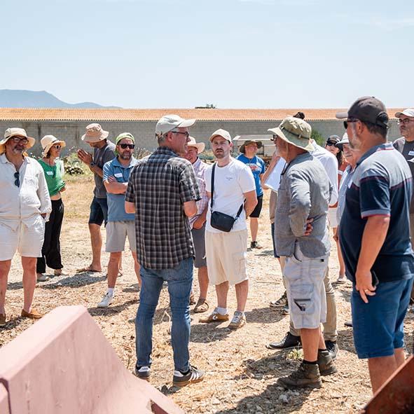Visites tècniques sobre agricultura regenerativa